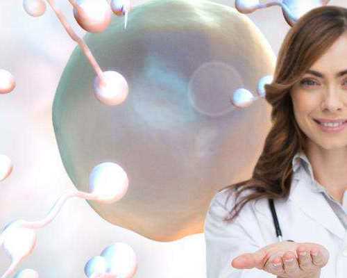 2026年辅助生殖助孕生男孩费用解析及成功率参考