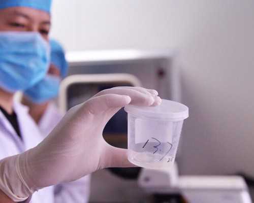 长沙求子指南：揭秘2026年最佳助孕医院，助力生殖健康