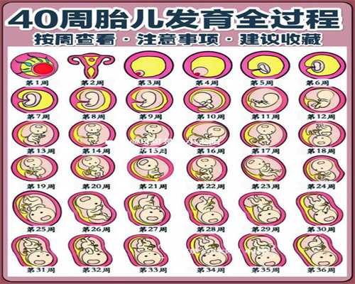 广州代孕技术,有广州代孕中心吗,怀孕初期胸胀吗