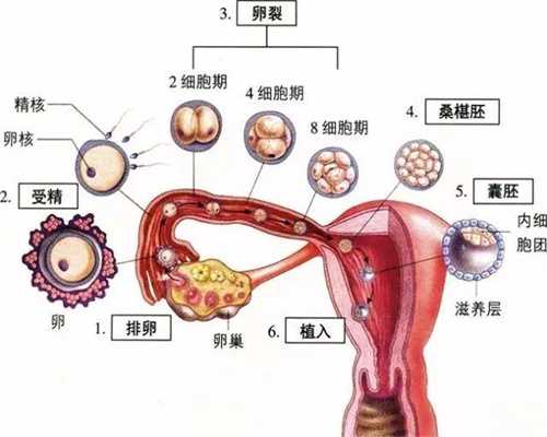 北京试管婴儿移植疼吗-孕妇龋齿会影响胎儿吗 民间说法别全信